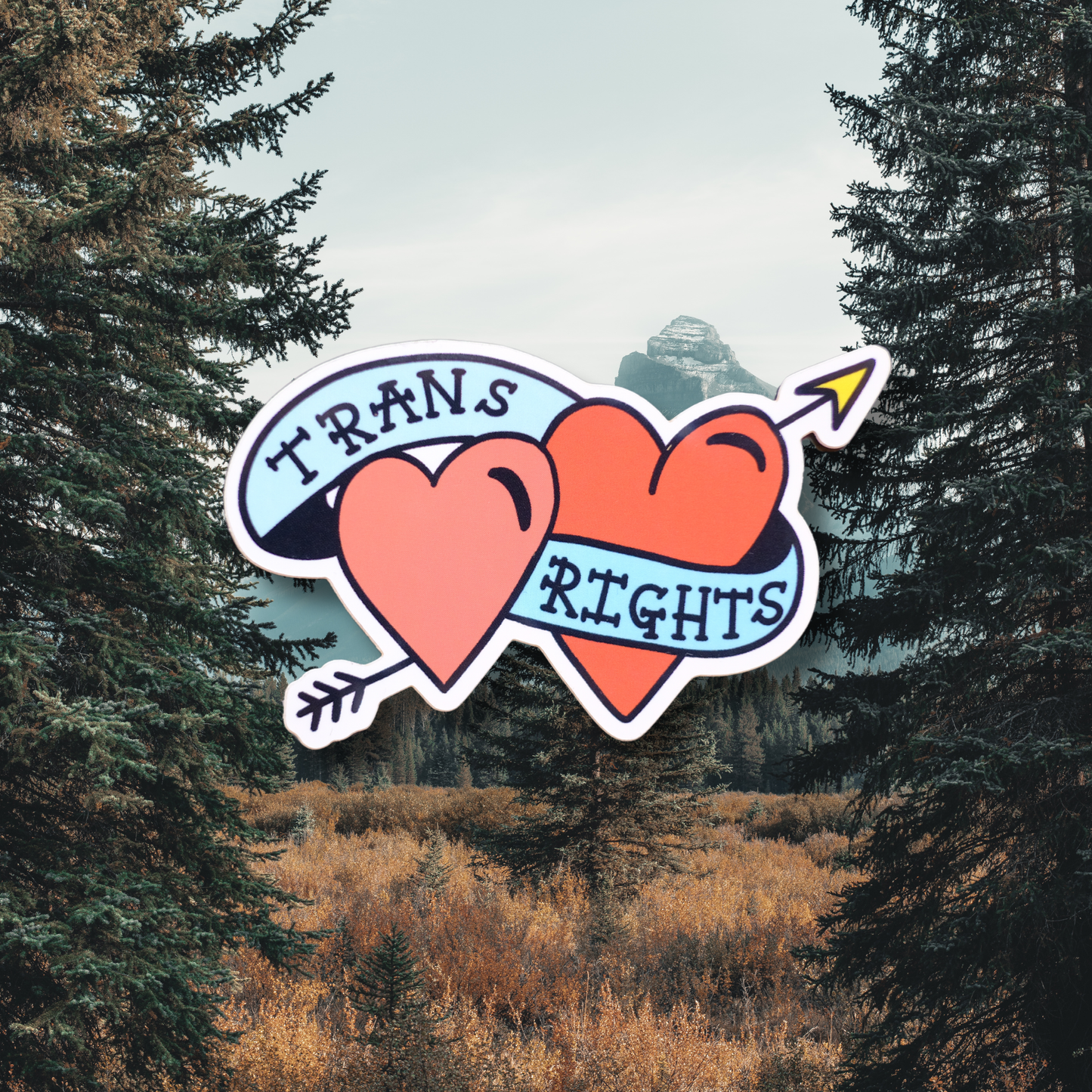Trans Rights Sticker