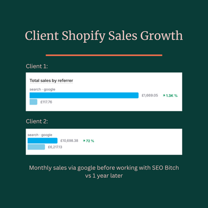 SEO Audit results